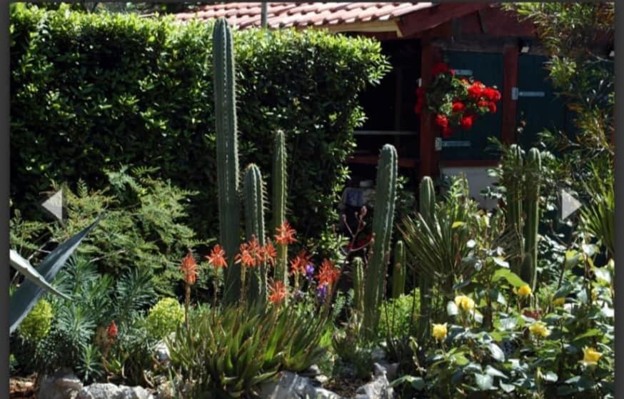 Cactus House Gaspar Zadar Exterior foto